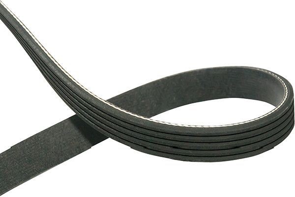 Kavo DMV-9070 V-Ribbed Belts 
